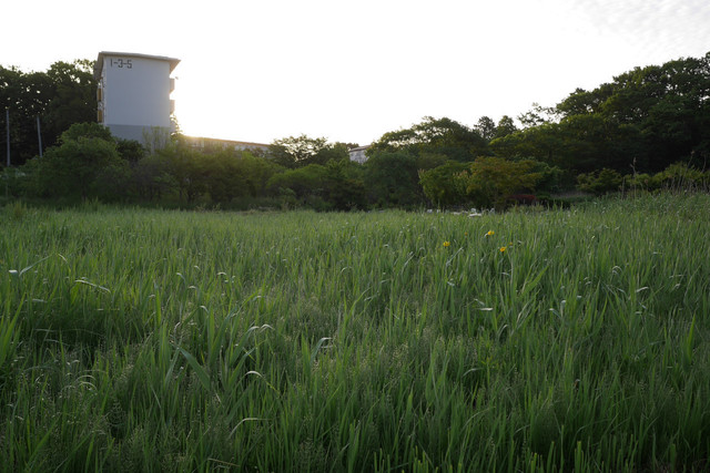 P1030051.JPG
