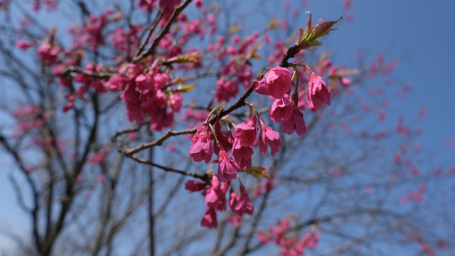 DSC32371.JPG