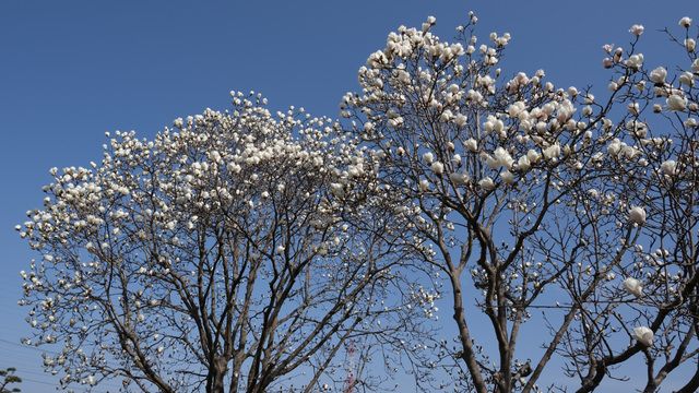 DSC32368.JPG