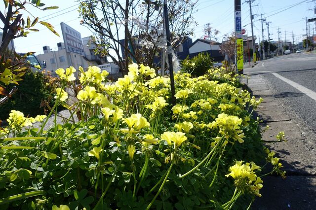 DSC02700.jpg