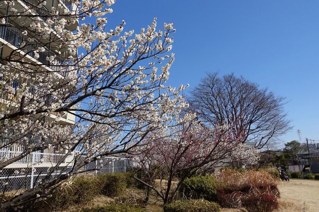 DSC02704.jpg