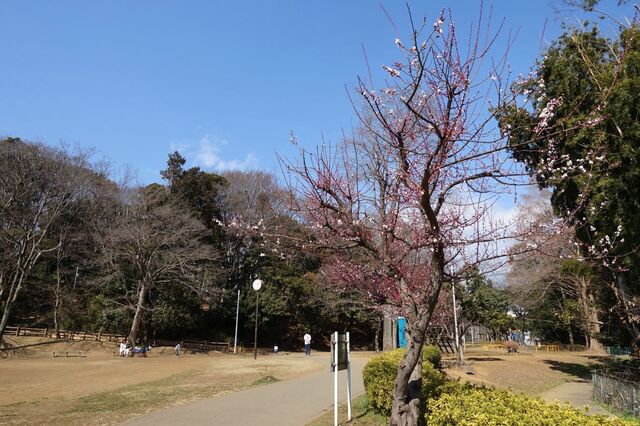 DSC02726.jpg