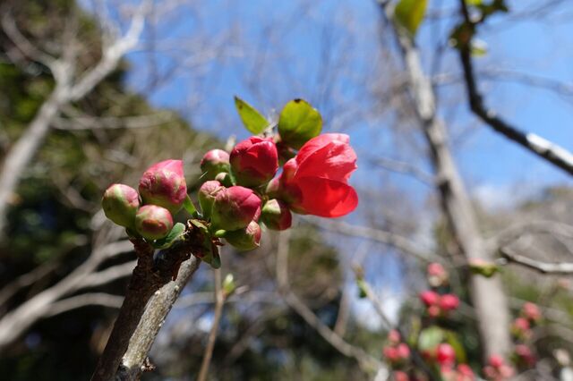 DSC02749.jpg