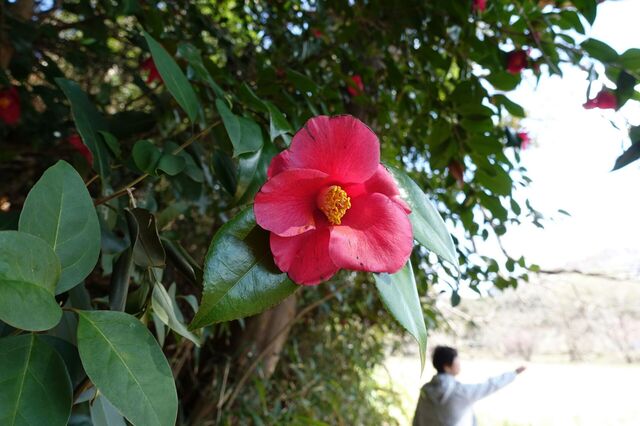 DSC02753.jpg