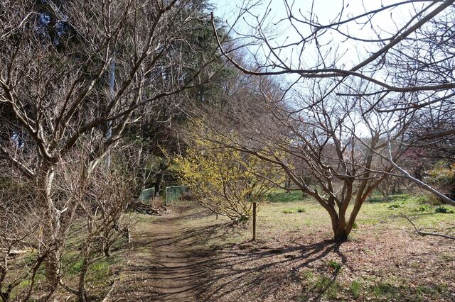 DSC02766.jpg