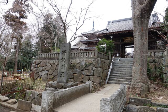 DSC02807.jpg