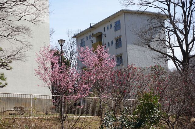 DSC02826.jpg