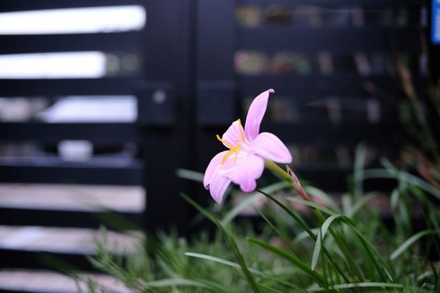 DSC31102.jpg