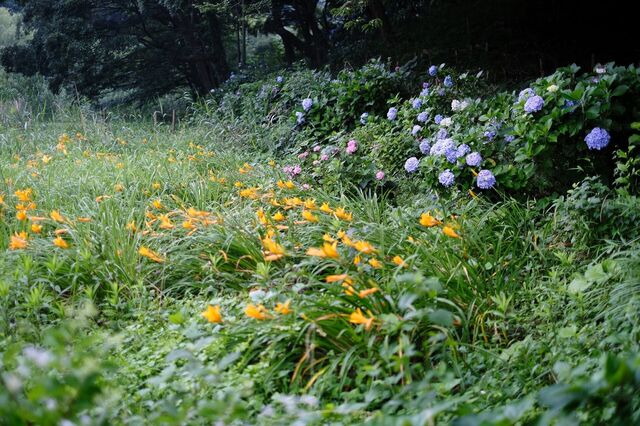 DSCF0490.jpg