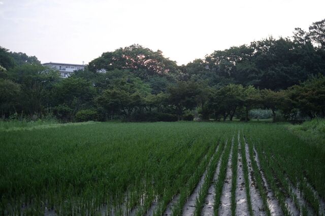 DSCF0494.jpg