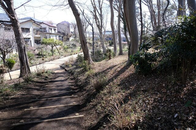DSCF1578.jpg
